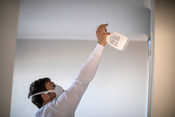 Best Industrial Mold Remediation in Terrace Heights, WA