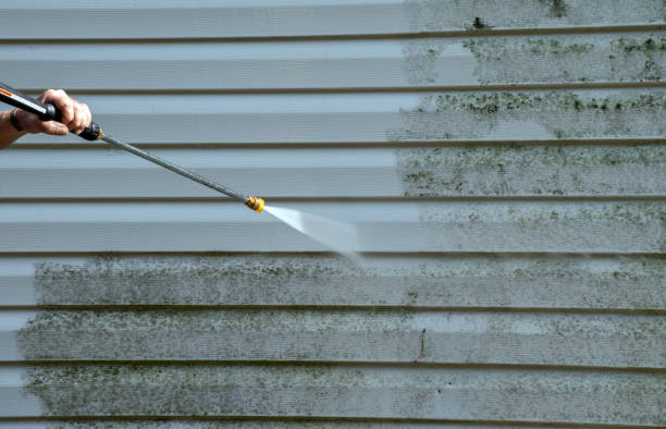 Best Bathroom Mold Remediation in Terrace Heights, WA
