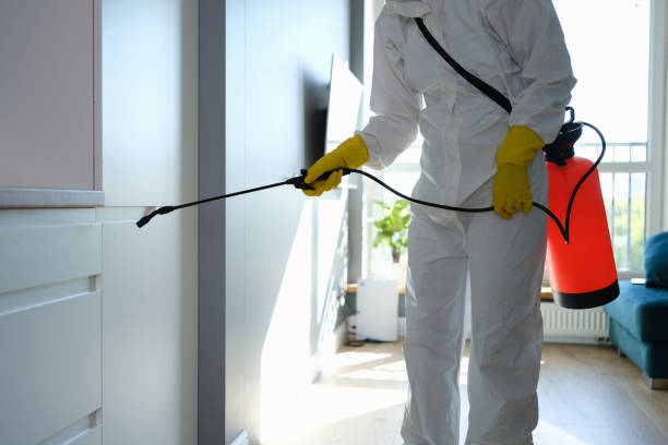 Best DIY Mold Remediation Support Services in Terrace Heights, WA