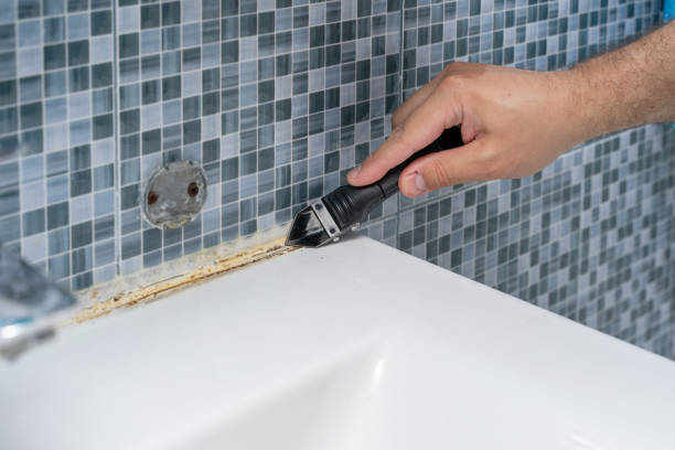 Terrace Heights, WA Mold Remediation Company